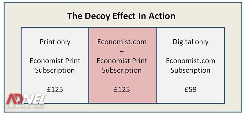 decoy effect