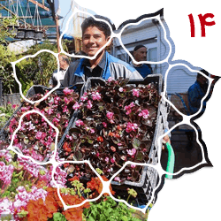 منطقه چهارده